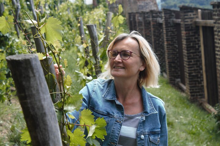 Tour Vysehrad Fortress: Indulge Local Delicacies with a City View - Photo 1 of 19